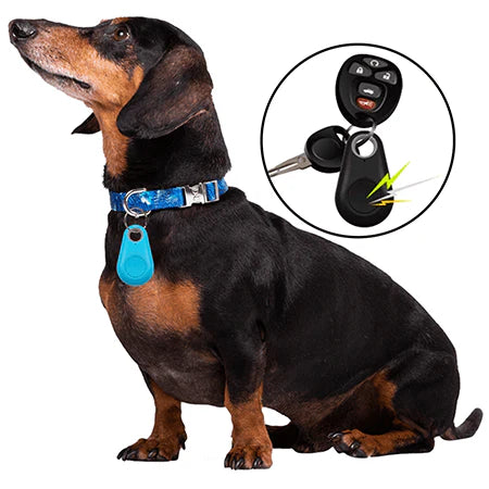 Rastreador Pet Finder